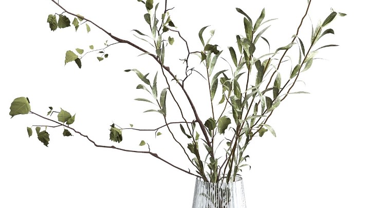 渲染模型_室内植物192