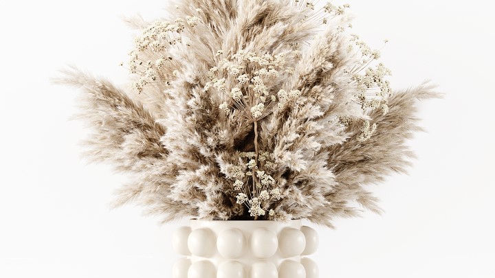 渲染模型_室内植物194