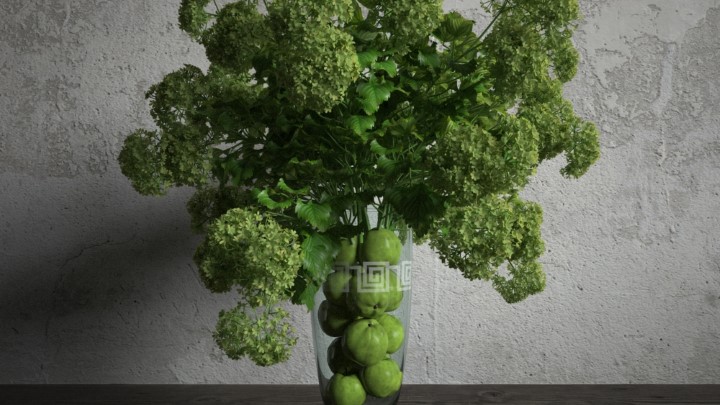 渲染模型_室内盆栽019