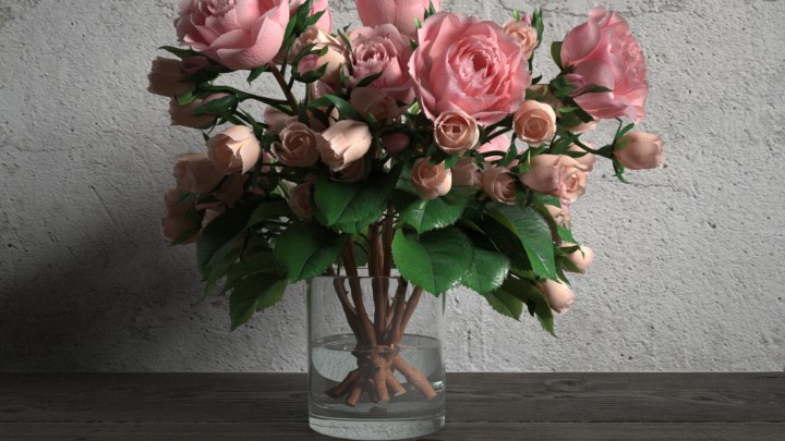 渲染模型_室内盆栽026