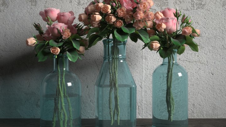 渲染模型_室内盆栽027