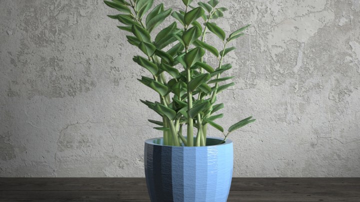 渲染模型_室内盆栽052