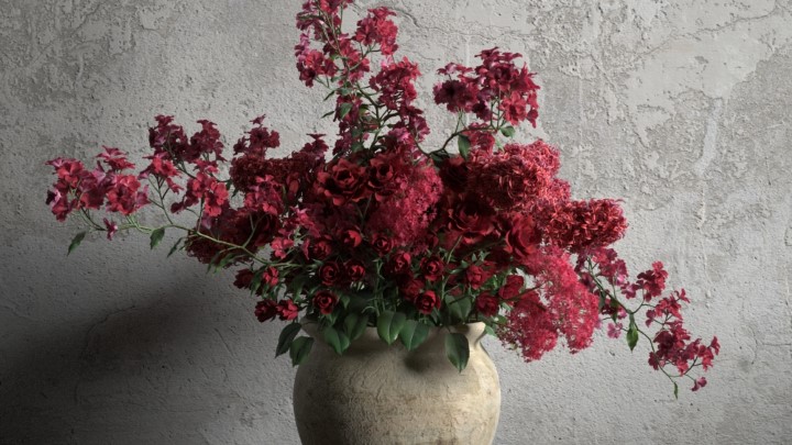 渲染模型_室内盆栽061