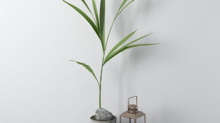 渲染模型_室内装修装饰品027