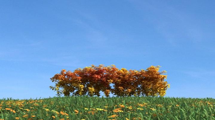 渲染模型_树木134