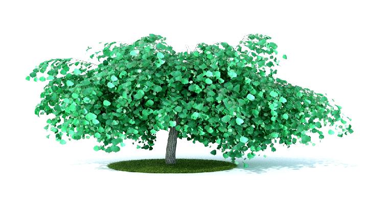 渲染模型_树木188