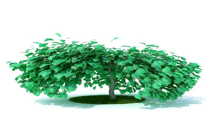 渲染模型_树木189