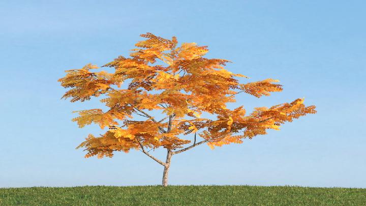 渲染模型_树木234