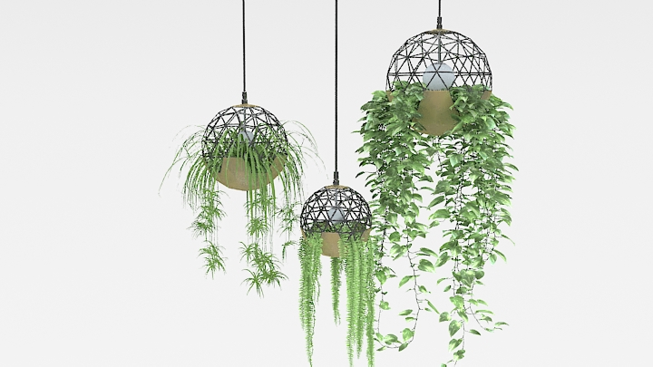 渲染模型_植物536