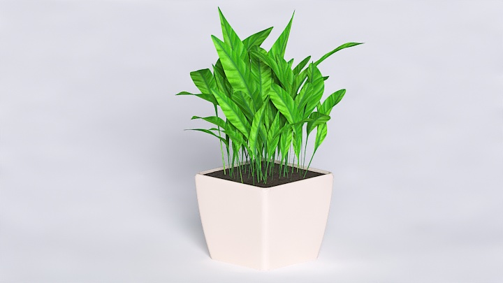 渲染模型_植物563