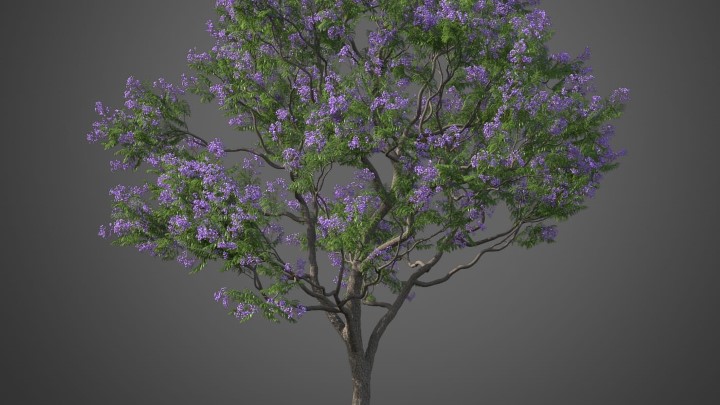 渲染模型_植物596