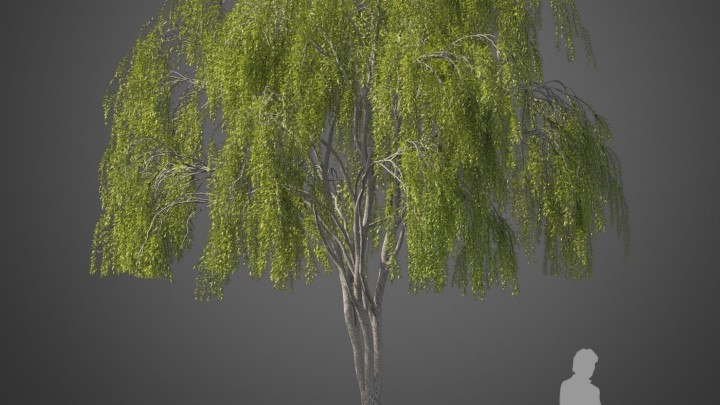 渲染模型_植物601