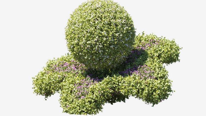 渲染模型_植物676