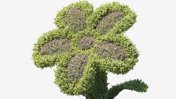 渲染模型_植物677