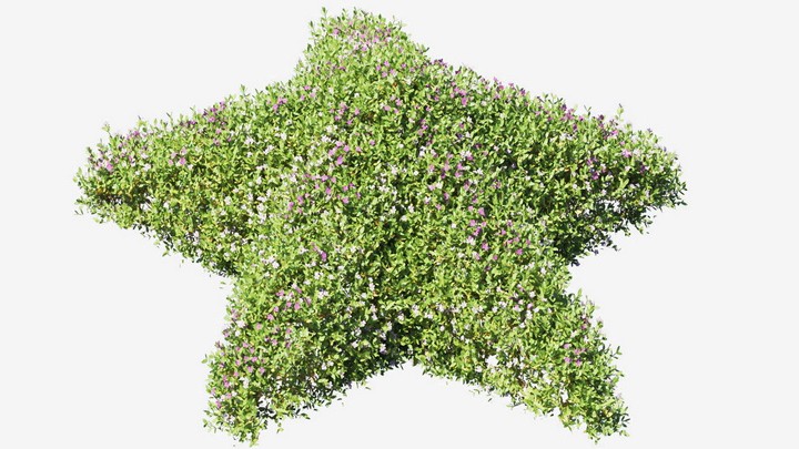 渲染模型_植物686