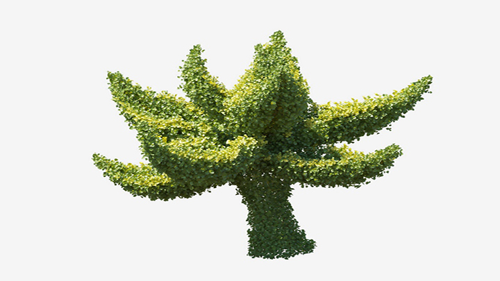 渲染模型_植物710