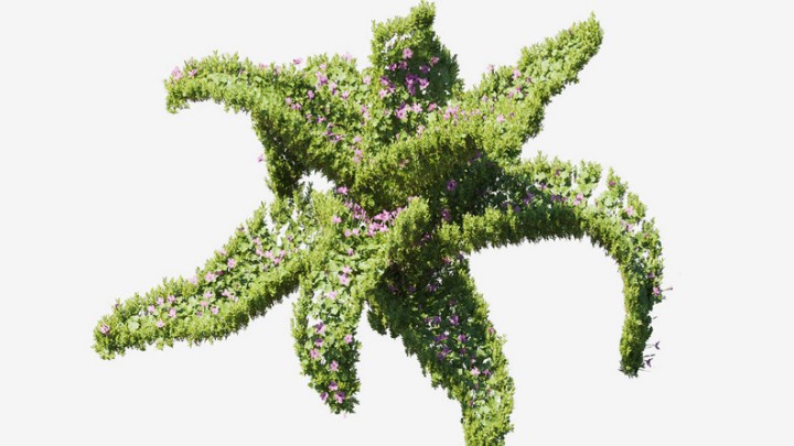 渲染模型_植物720