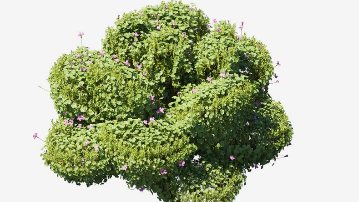 渲染模型_植物723