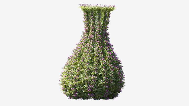 渲染模型_植物733