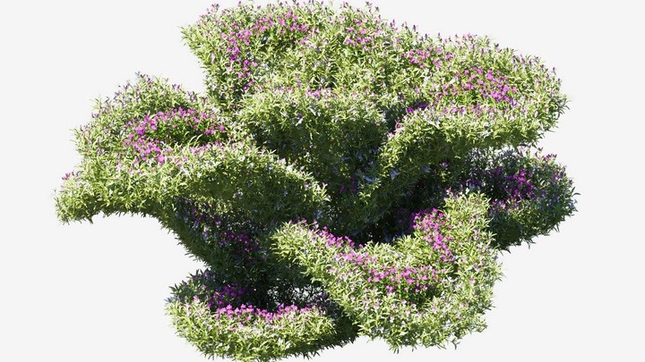 渲染模型_植物737