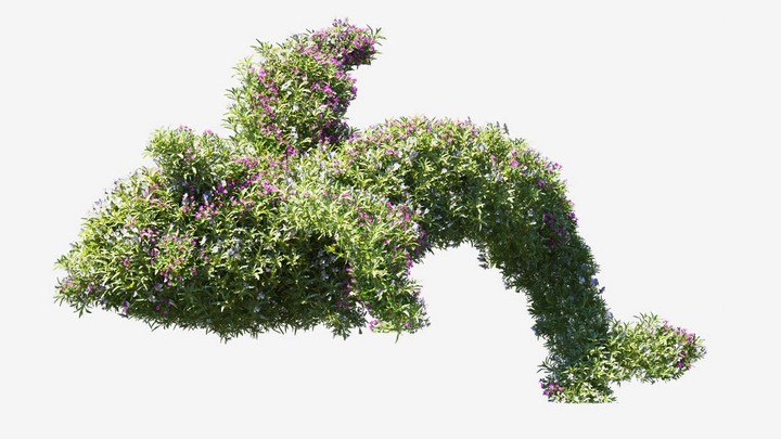 渲染模型_植物739