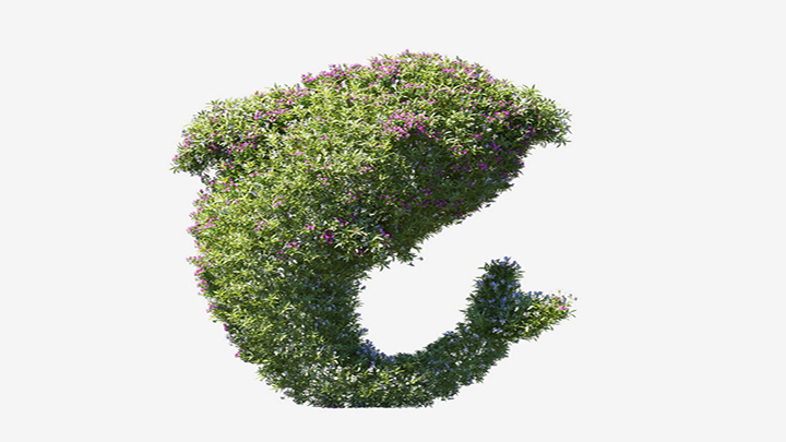 渲染模型_植物740