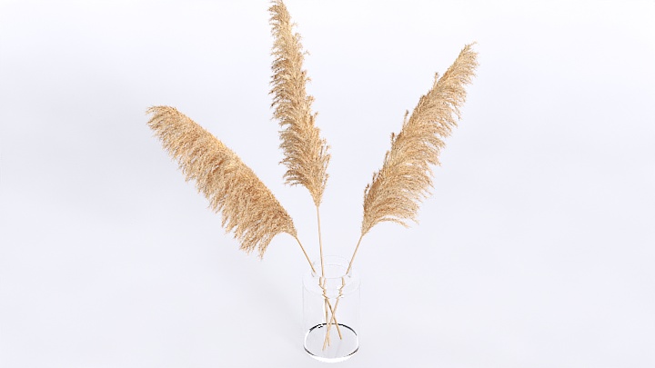 渲染模型_植物摆件002