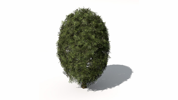 渲染模型_植物景观018