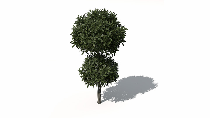 渲染模型_植物景观065