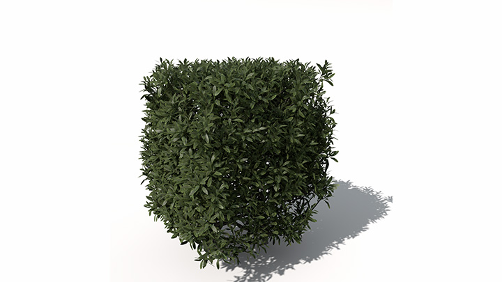 渲染模型_植物景观071