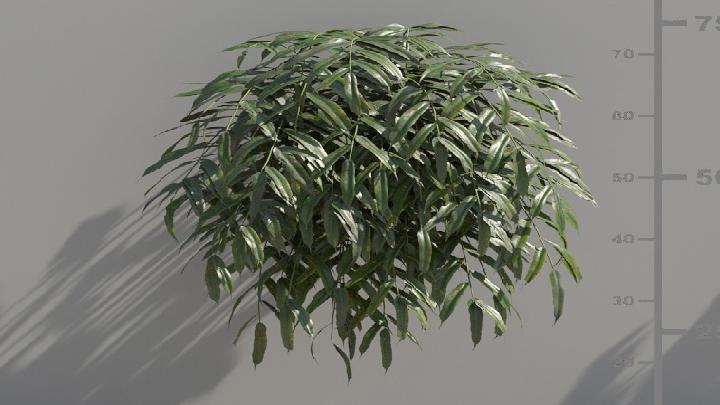 渲染模型_植被011