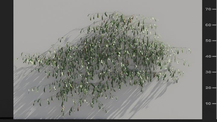 渲染模型_植被030