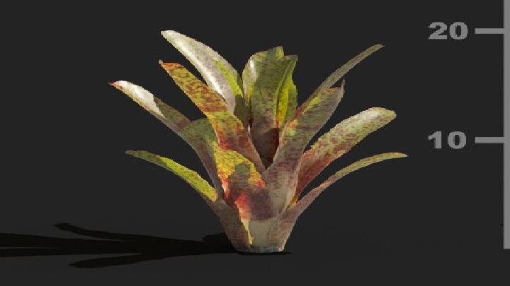 渲染模型_植被077