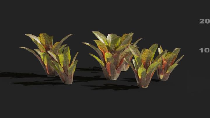 渲染模型_植被078