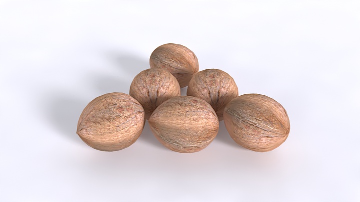 渲染模型_椰子003