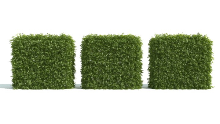 渲染模型_灌木071