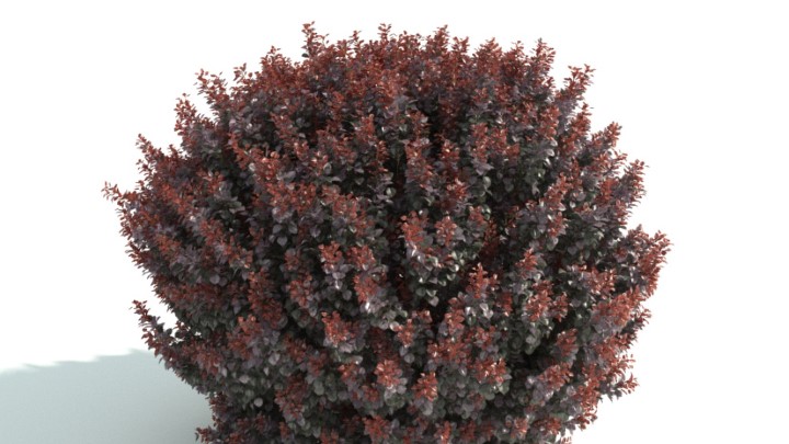 渲染模型_灌木076