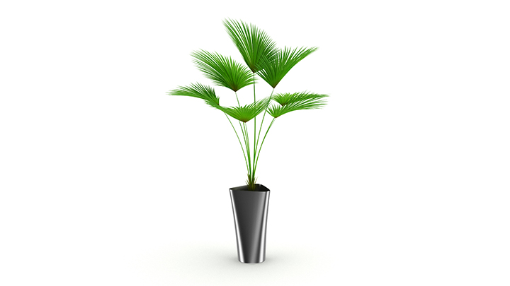 渲染模型_盆栽507