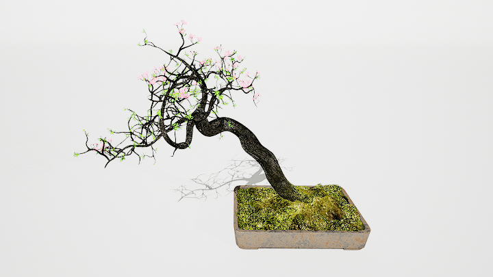 渲染模型_盆栽524