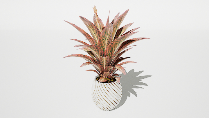 渲染模型_盆栽528