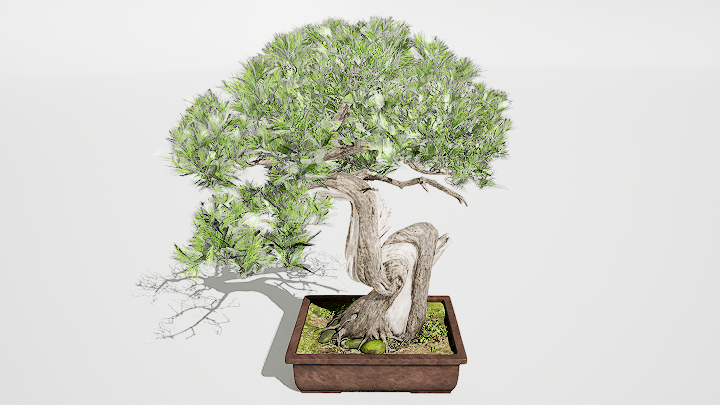 渲染模型_盆栽543