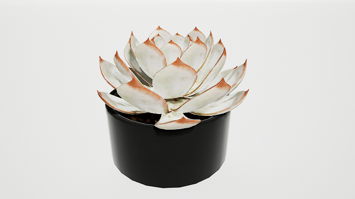 渲染模型_盆栽554