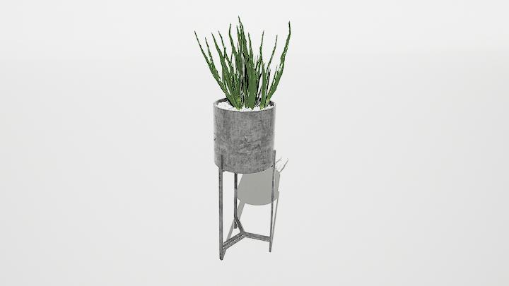 渲染模型_盆栽555