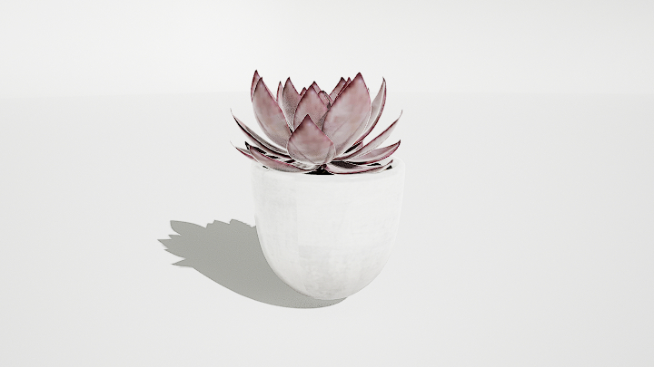 渲染模型_盆栽556