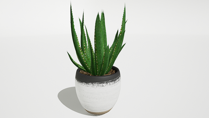 渲染模型_盆栽557