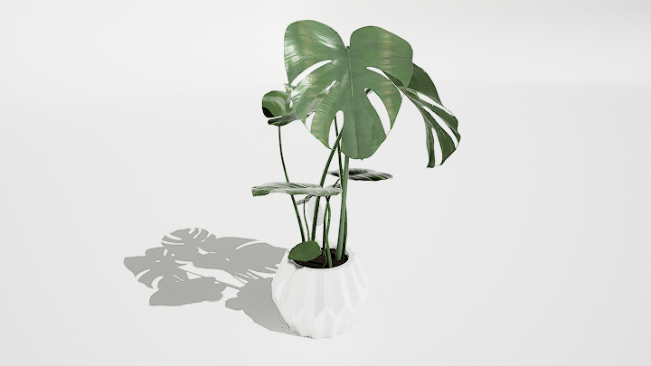 渲染模型_盆栽559