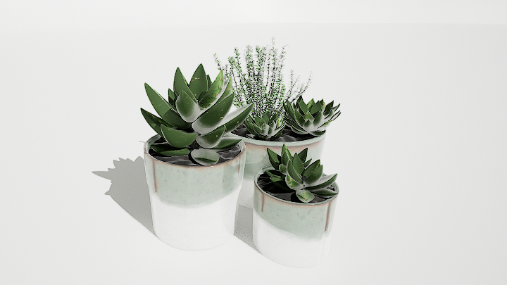 渲染模型_盆栽560