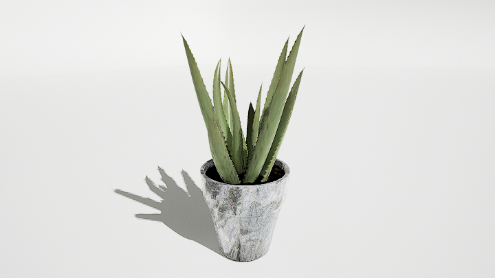 渲染模型_盆栽563