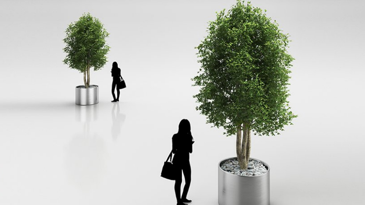 渲染模型_盆栽植物008