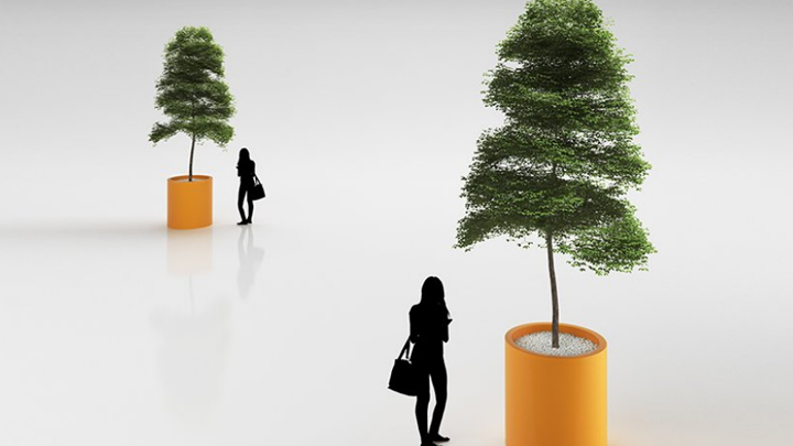 渲染模型_盆栽植物010